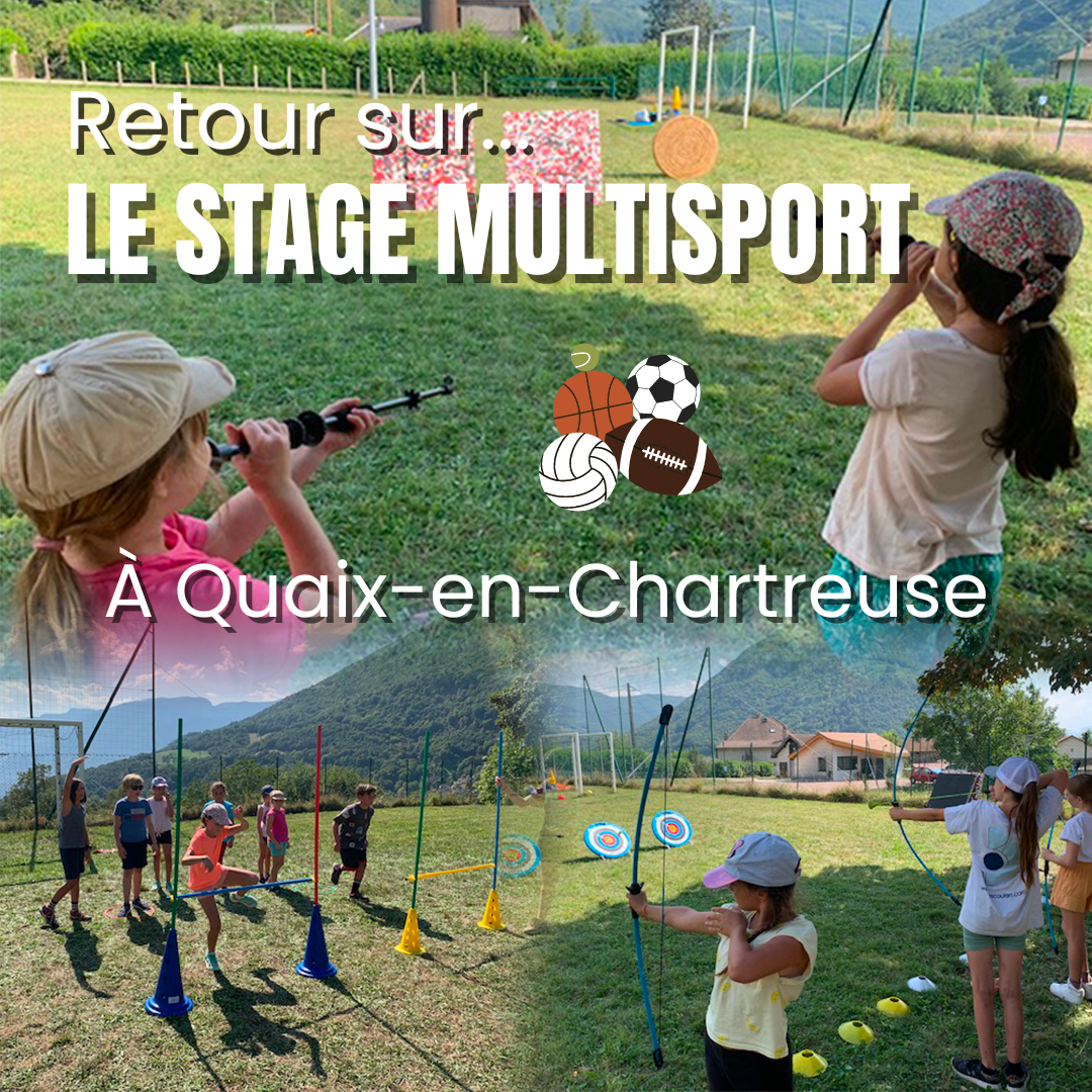 Gestion des réseaux sociaux